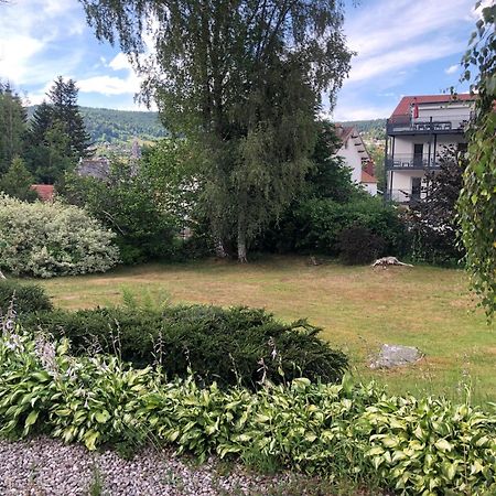 Appartement de Gautier Gérardmer Extérieur photo
